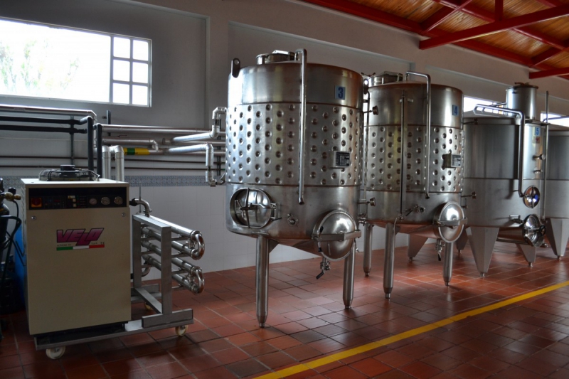 cave-LA BRIGUE-min_wine_production_cantine_winery_drink_alcohol_vine_beverage-902036